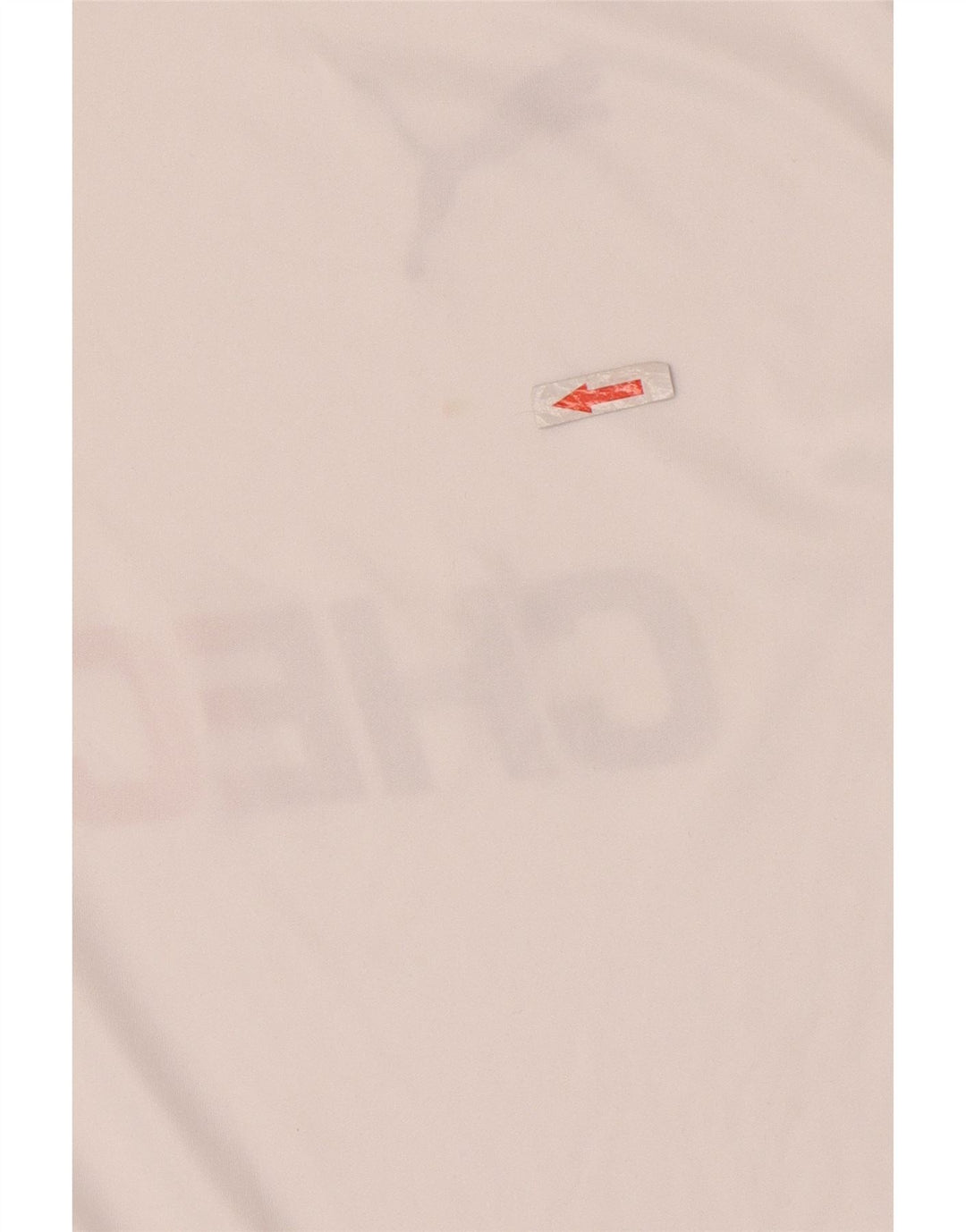 Puma Camiseta Deutshland Graphic para hombre Top Small White Colourblock Poliéster