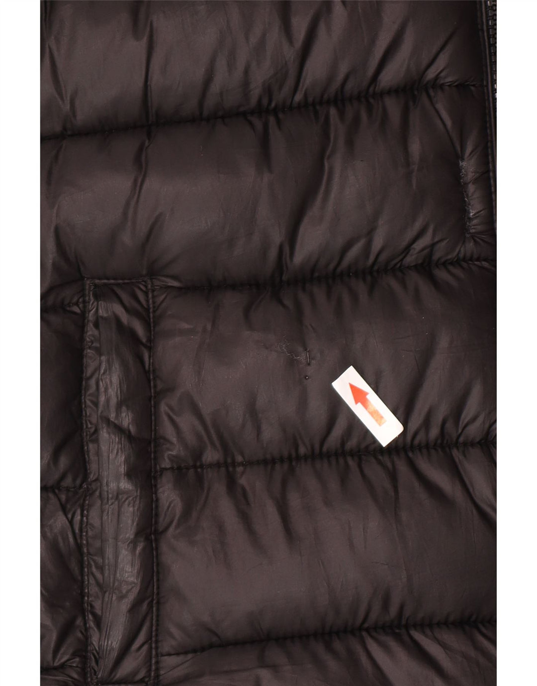 Champion Chaqueta acolchada con capucha para niño 11-12 años Negro Poliéster