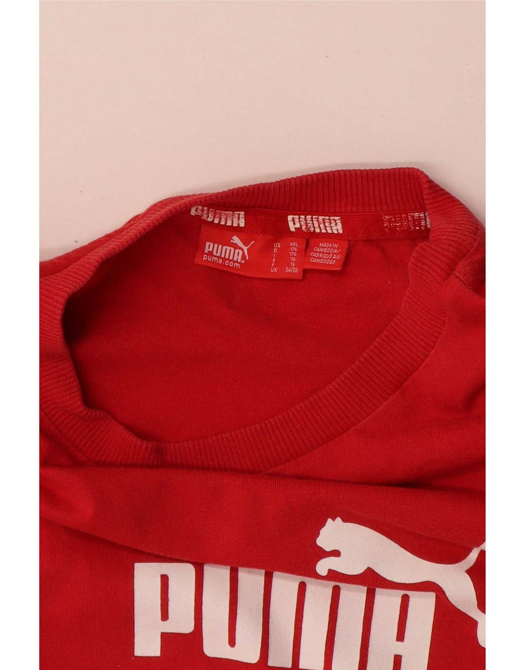 Puma Camiseta gráfica para niño Top 15-16 años Rojo