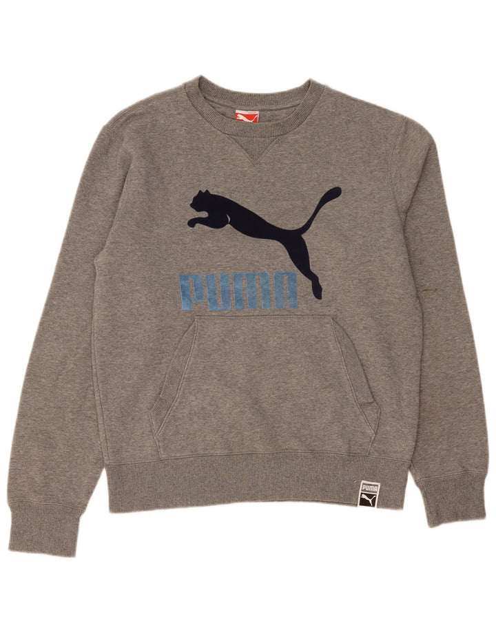 Puma Sudadera Gráfica Jumper Gris Medio Moteado