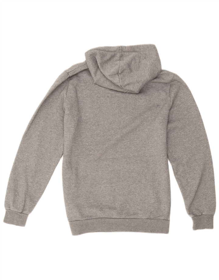 Puma Sudadera con capucha gráfica para hombre Jersey pequeño de algodón gris