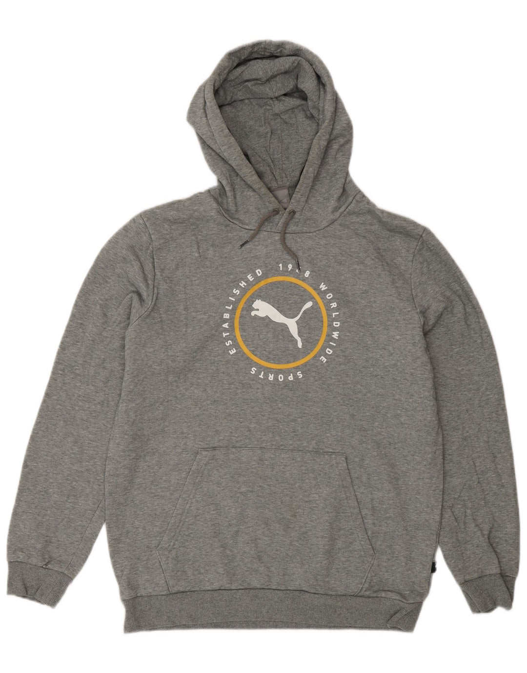 PUMA Jersey con capucha gráfica para hombre de algodón gris medio