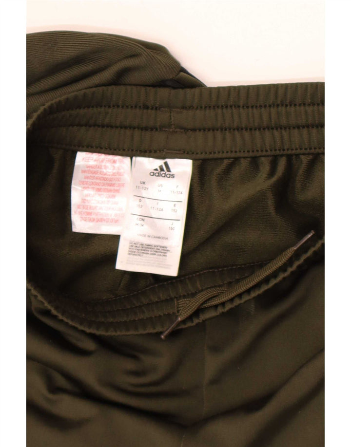 Adidas Pantalón Chándal Niño 11-12 Años Caqui Poliéster
