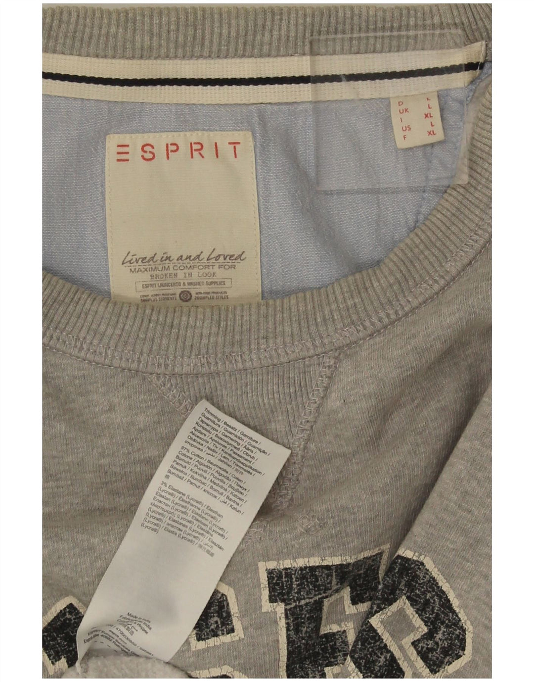 Esprit Sudadera con estampado gráfico para hombre, jersey grande de algodón moteado en gris