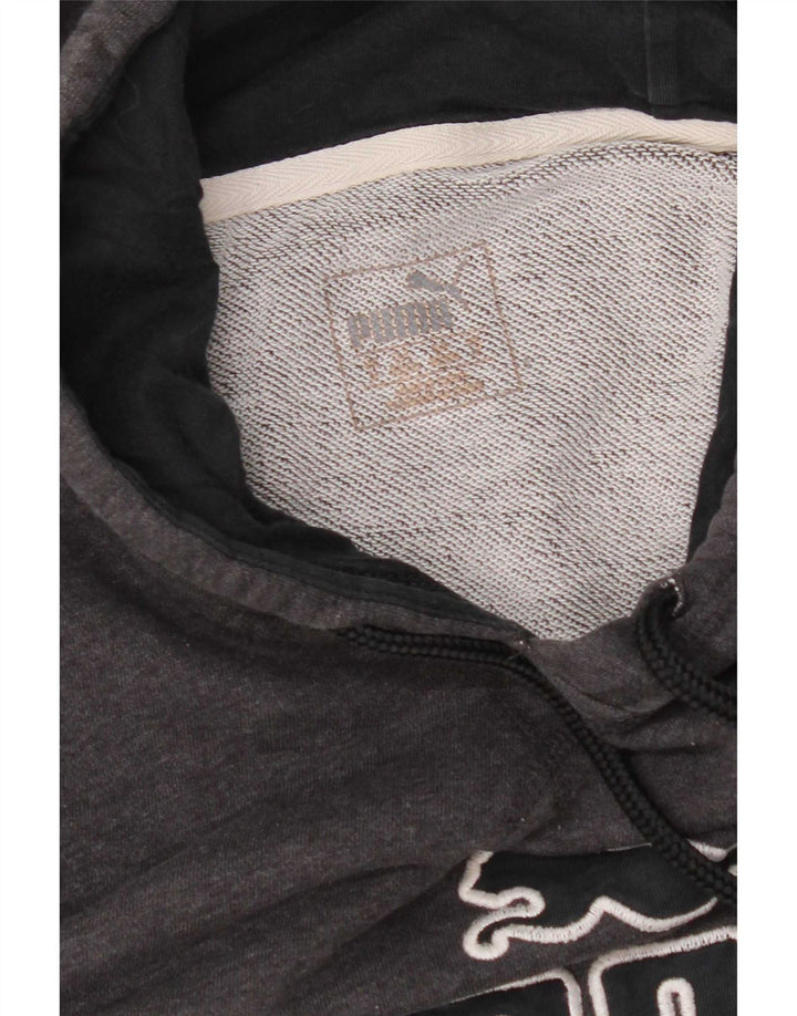 Puma Hombre Sudadera Con Capucha Gráfica Gris Medio