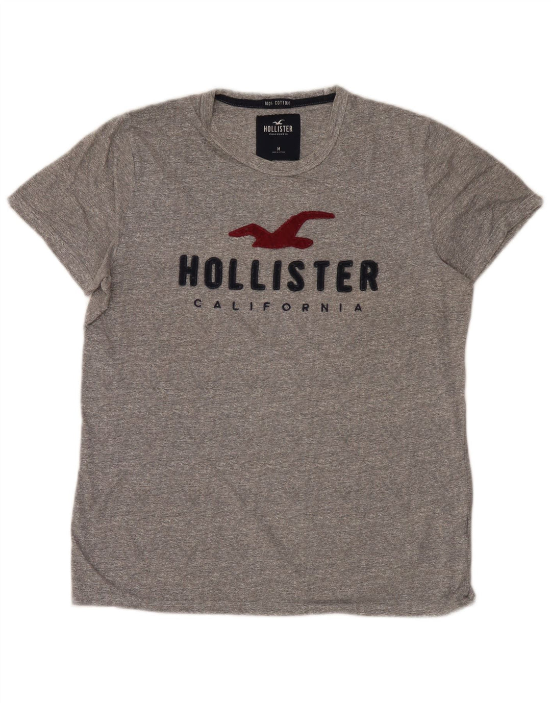 Camiseta Hollister Hombre Graphic Top Algodón Gris Medio