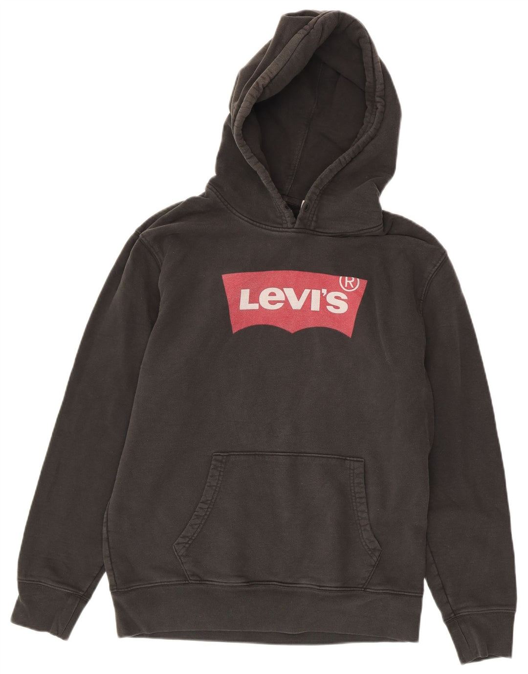 Levi's Jersey con capucha y gráfico estándar para hombre Algodón negro mediano