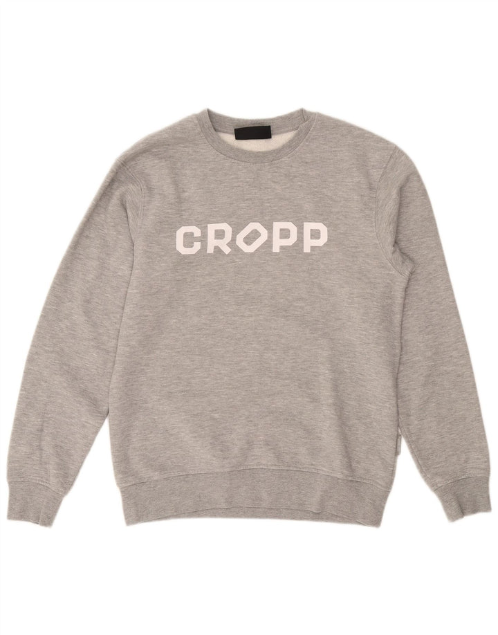 Cropp Hombre Graphic Regular Fit Sudadera Jumper Small Gris Algodón