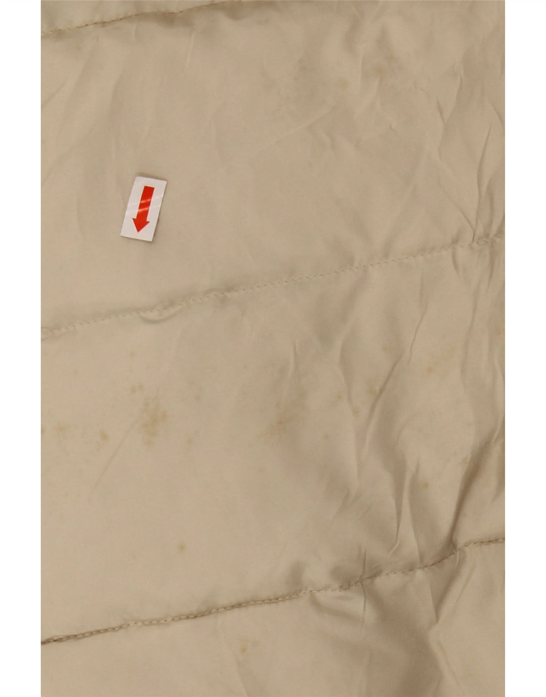 SERGIO TACCHINI Chaqueta acolchada con capucha Mujer IT 42 Poliéster beige medio