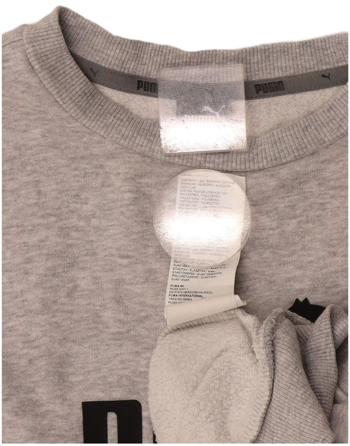 Sudadera Puma Mujer Graphic Jumper Algodón Gris Medio