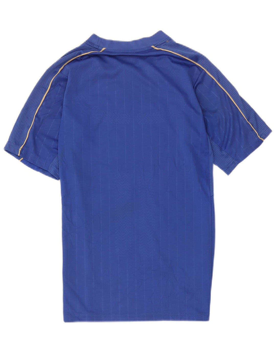 Camiseta Puma Italia Graphic Top Azul Medio Poliéster