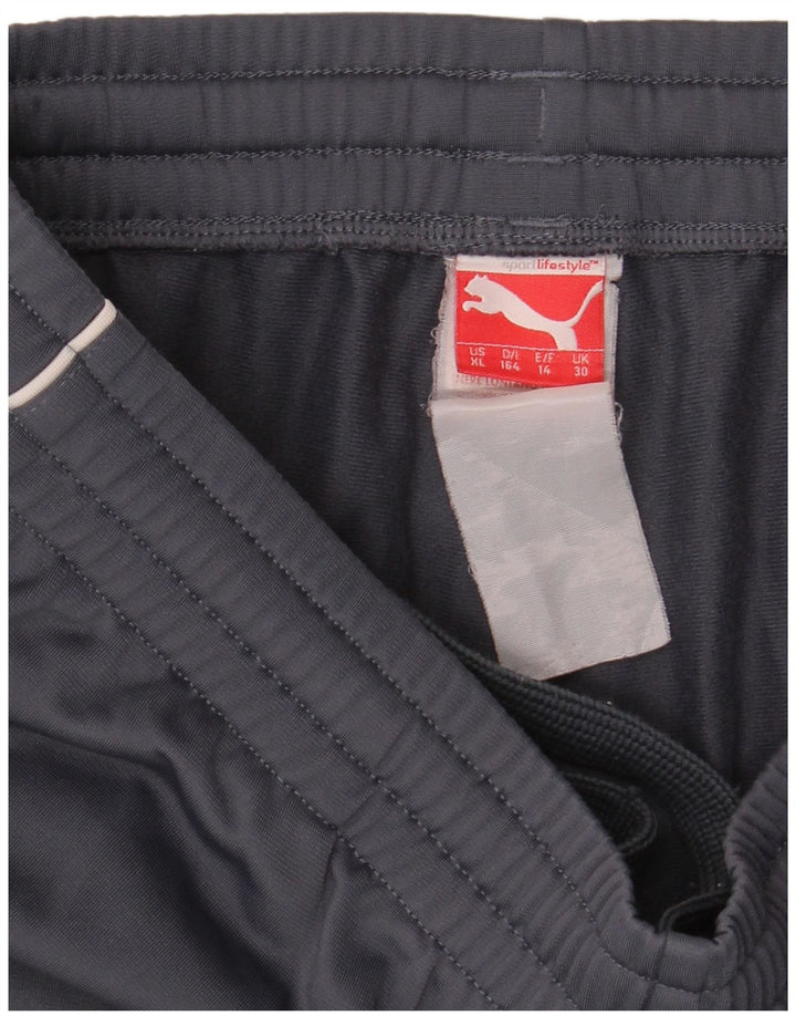 Puma Pantalón Chándal Niño 13-14 Años Gris