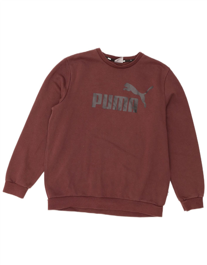 Puma Hombre Sudadera Gráfica Jumper Marrón Medio