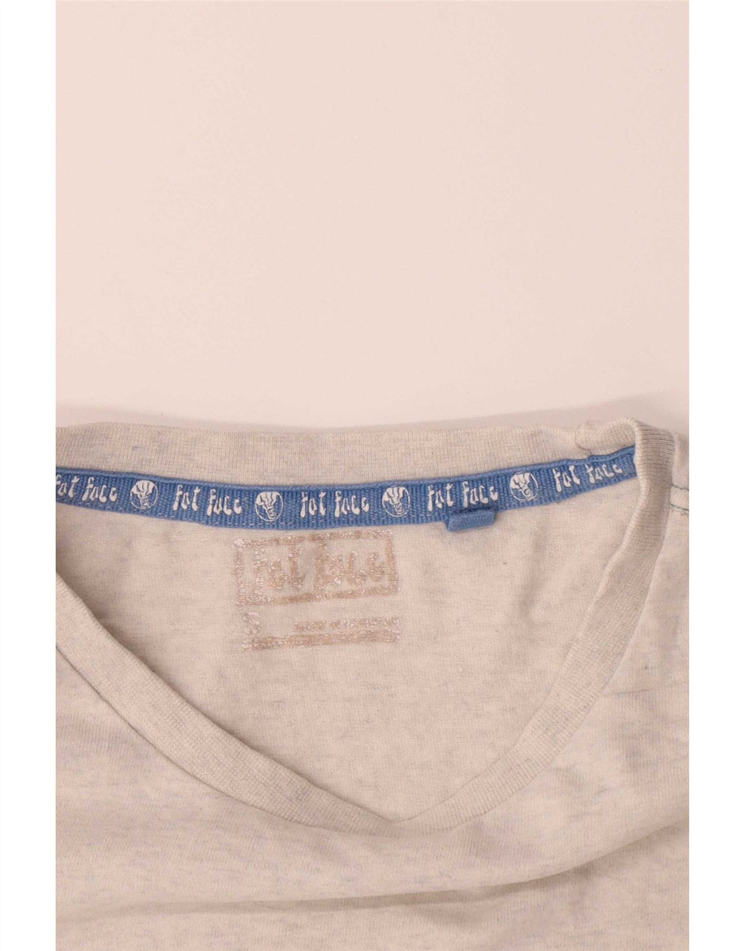 Camiseta con estampado gráfico de Fat Face para hombre, talla pequeña, gris