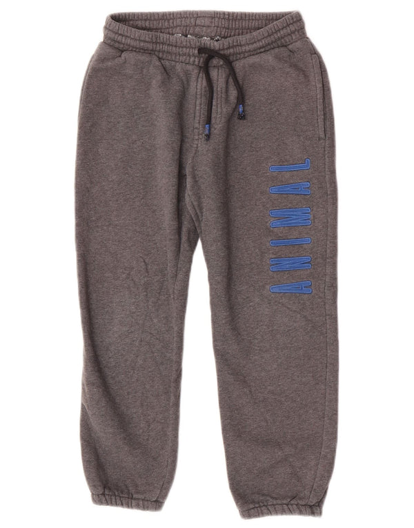 Animal Pantalones de chándal con estampado gráfico para niño Joggers 7-8 años Algodón gris