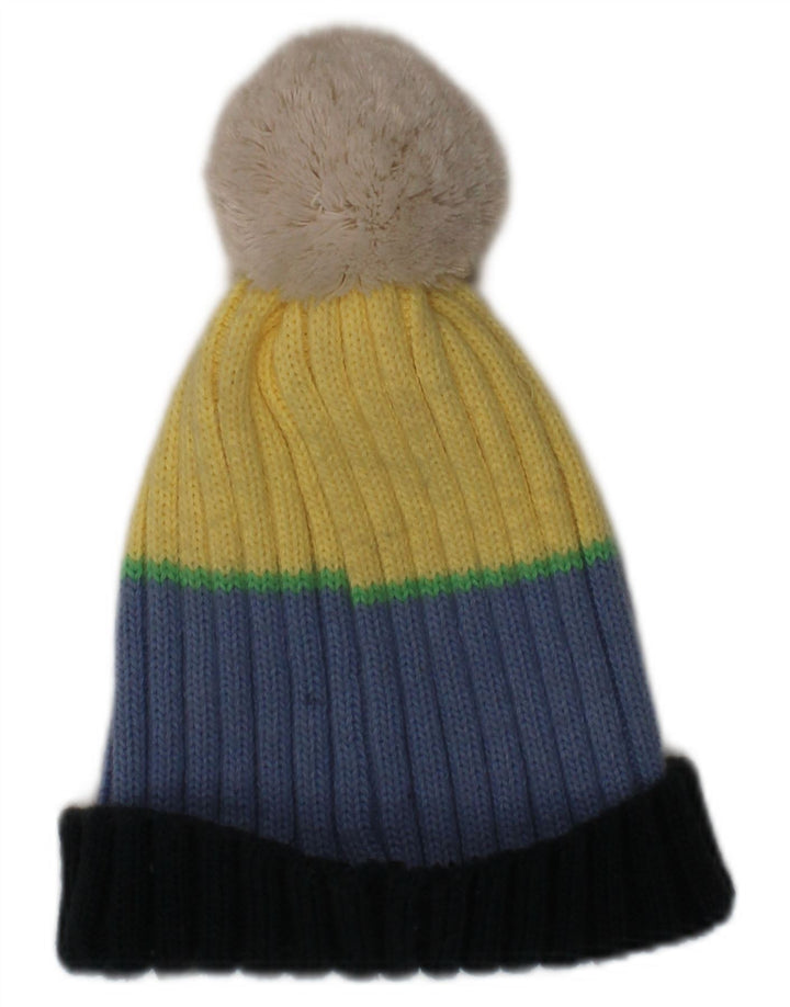Champion Gorro de punto con pompón para hombre, talla única, acrílico a rayas multicolor, invierno