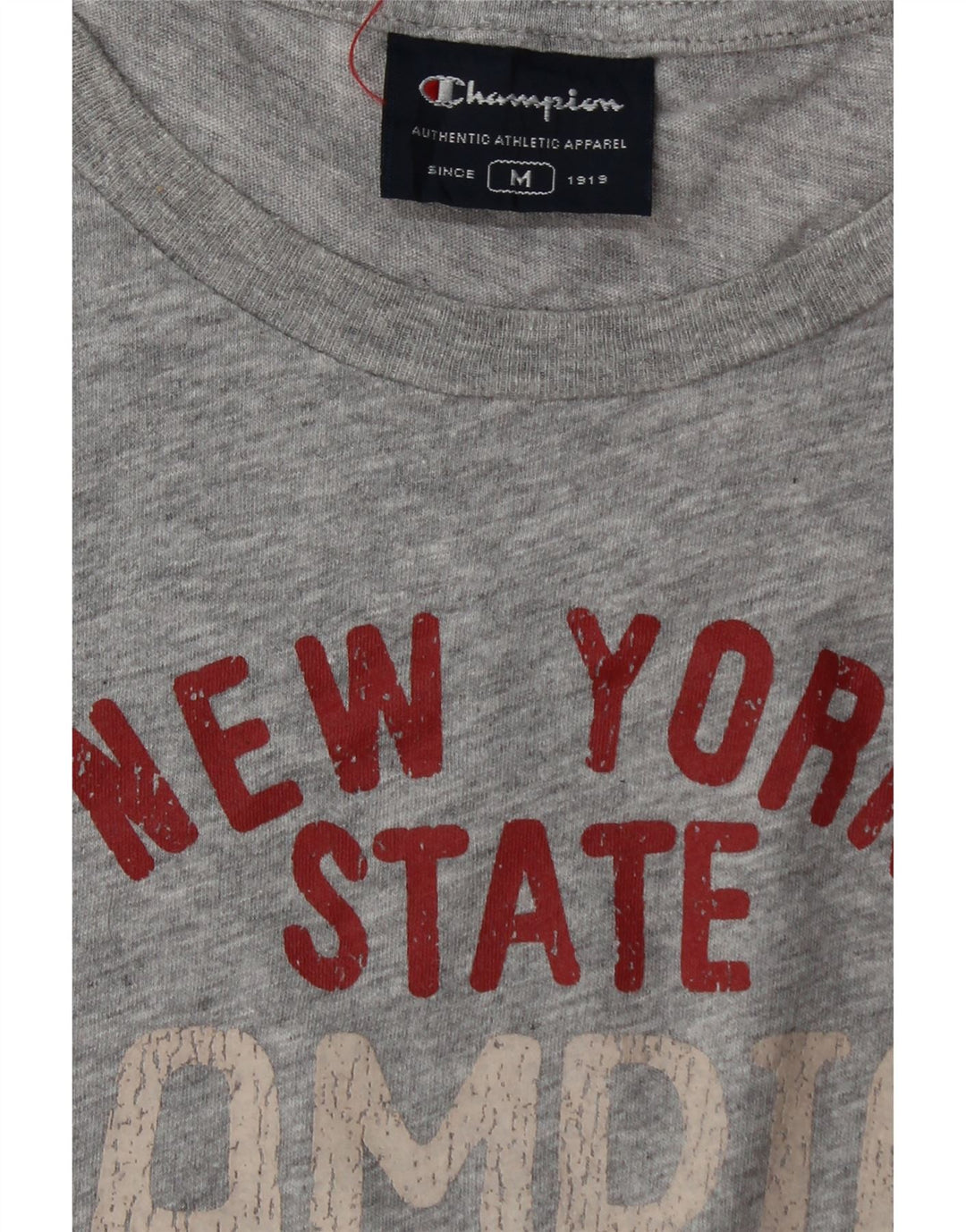 Champion Camiseta Sin Mangas Con Gráfico Para Hombre Gris Medio Moteado