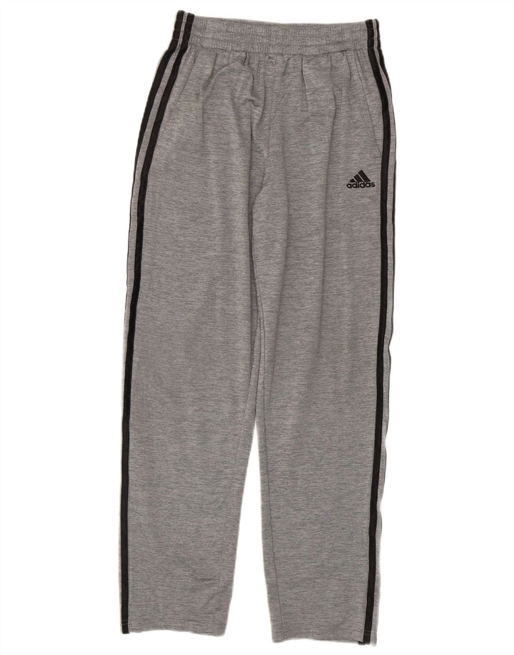 ADIDAS Pantalón Chándal Niño 14-15 Años Gris Poliéster Moteado