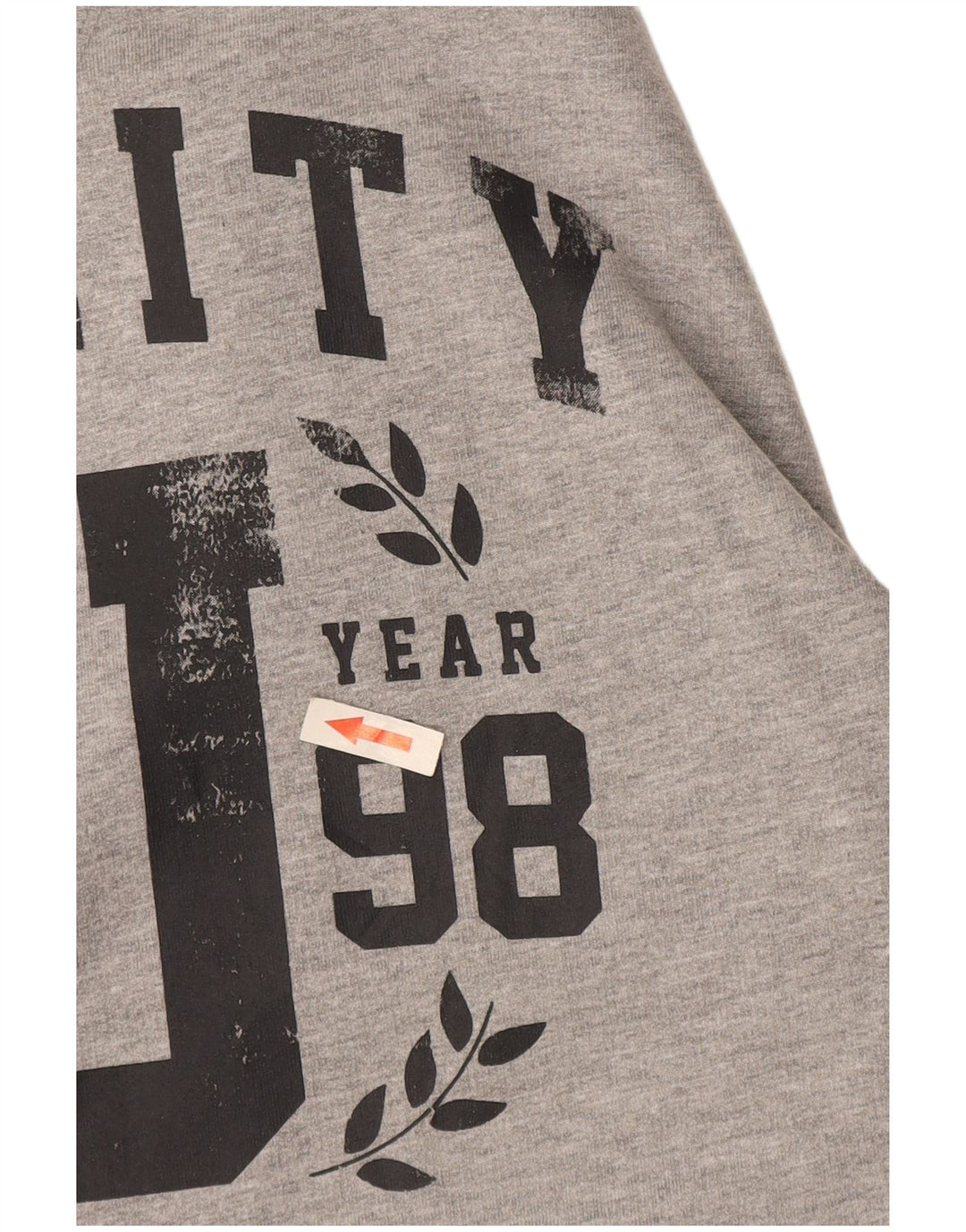 Diadora Jersey Con Capucha Gráfica De Algodón Gris Medio Hombre