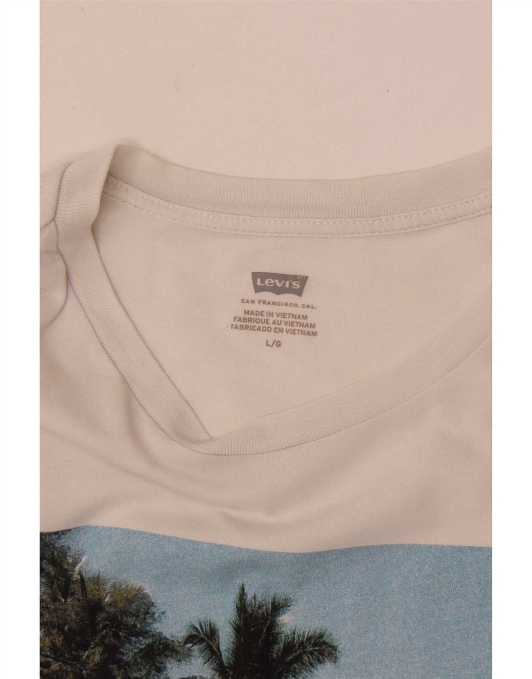 Levi's - Camiseta gráfica para hombre, talla grande, color blanco