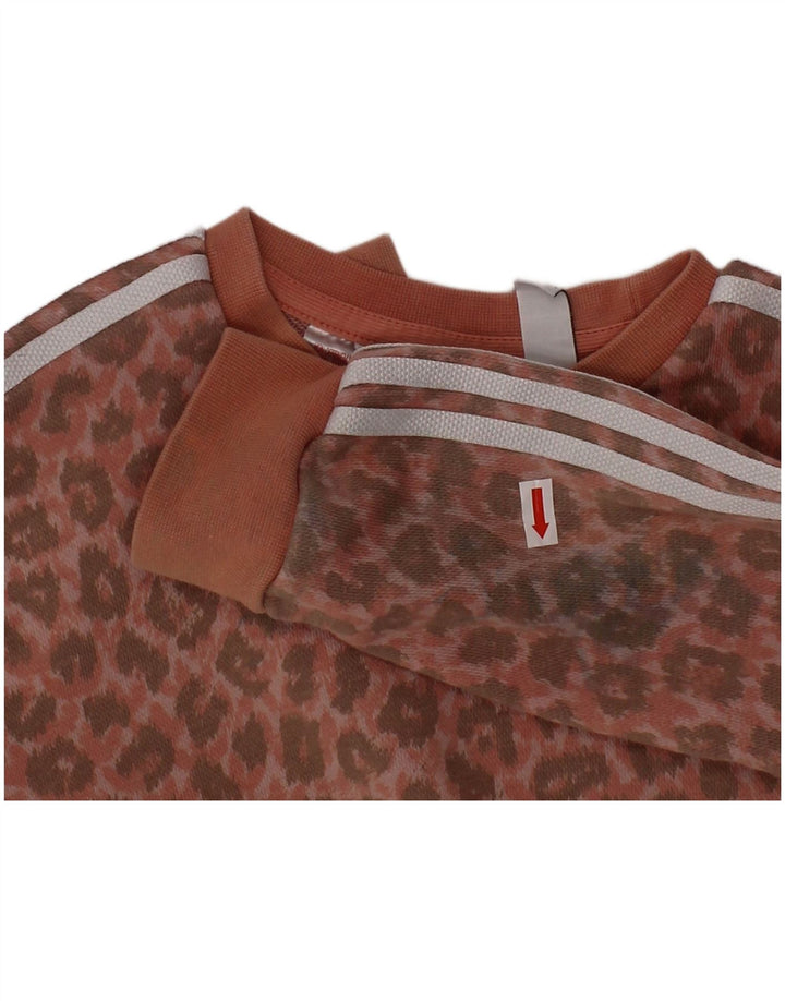 ADIDAS Chándal completo para bebé niña 18-24 meses Rosa Animal Print Algodón