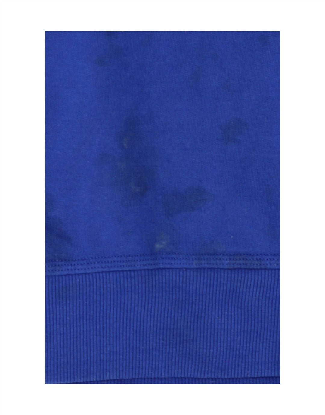 CHAMPION Mens Hoodie Jumper Small Blue Cotton Vintage Champion and Second-Hand Champion from Messina Hembry 