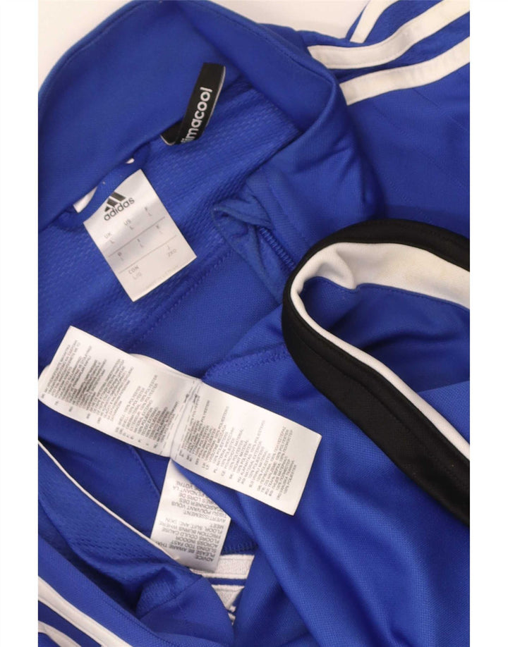 Adidas Climacool Chándal Top Chaqueta Grande Azul Colorblock Poliéster