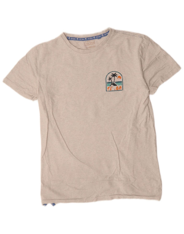 Camiseta con estampado gráfico de Fat Face para hombre, talla pequeña, gris