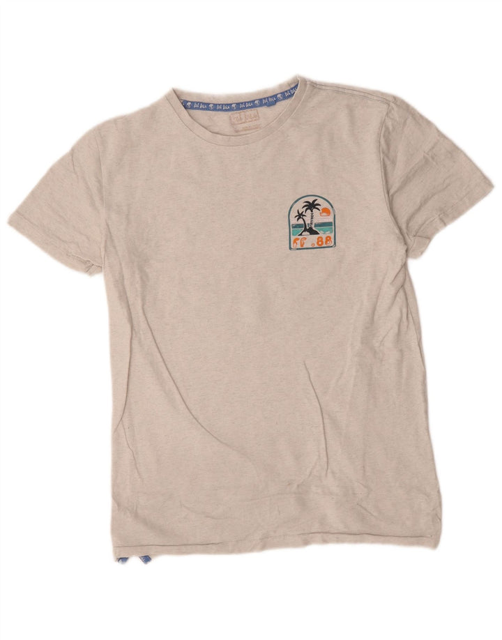 Camiseta con estampado gráfico de Fat Face para hombre, talla pequeña, gris