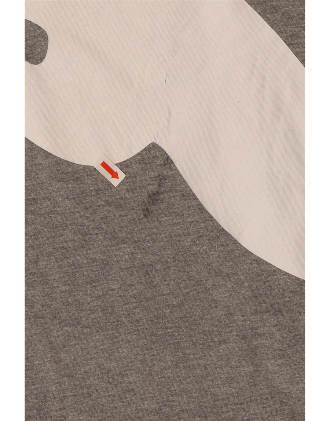 PUMA Camiseta gráfica para hombre Top 2XL Gris