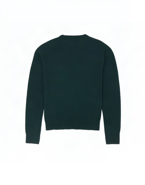Tommy Hilfiger Jersey con cuello en V para hombre, talla 2XL, lana verde
