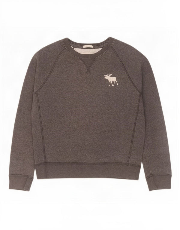 Abercrombie & Fitch Mens Muscle Sweatshirt Jumper Large Grey Cotton