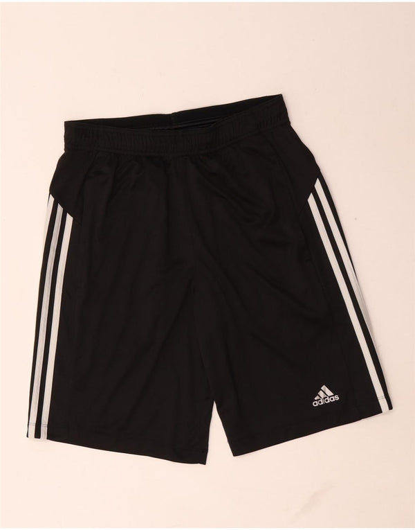 Adidas Mens Climalite Sport Shorts Medio Negro Poliéster