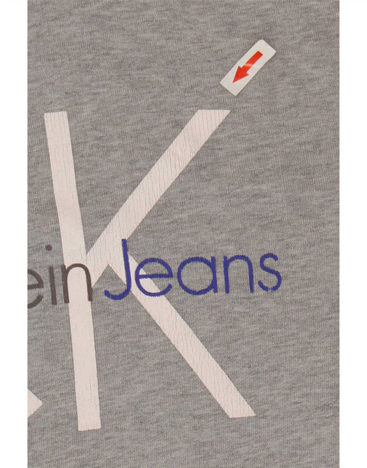 Calvin Klein Jeans Hombre Sudadera Con Capucha Gráfica Gris Medio