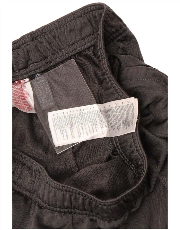 Adidas Pantalón Chándal Niño 15-16 Años Gris Poliéster