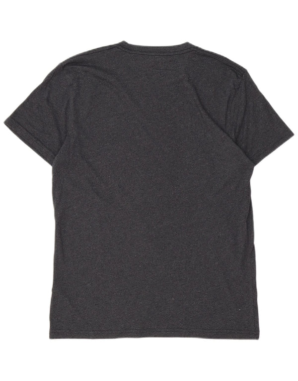 HOLLISTER Camiseta Hombre Top Small Gris Algodón
