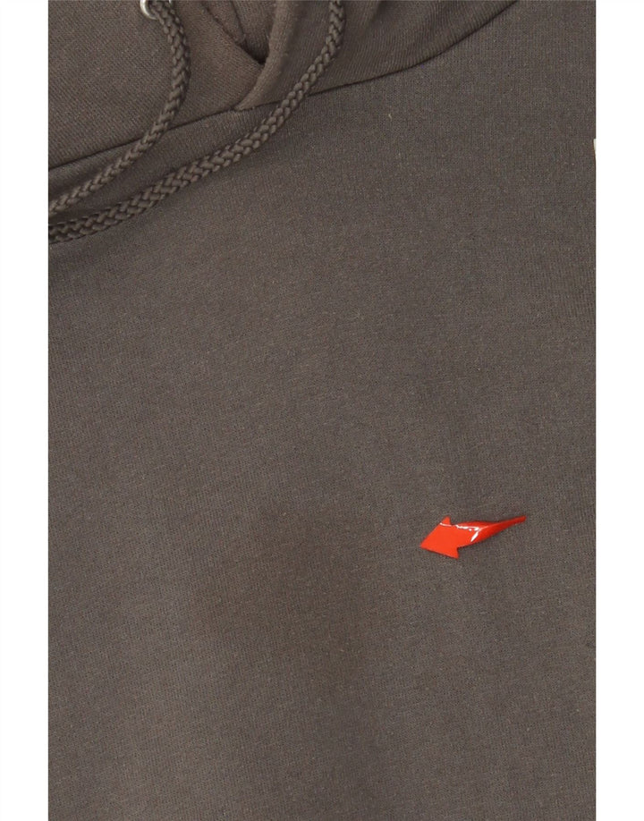 CHAMPION Jersey con capucha con gráfico de osos para hombre XL Algodón gris