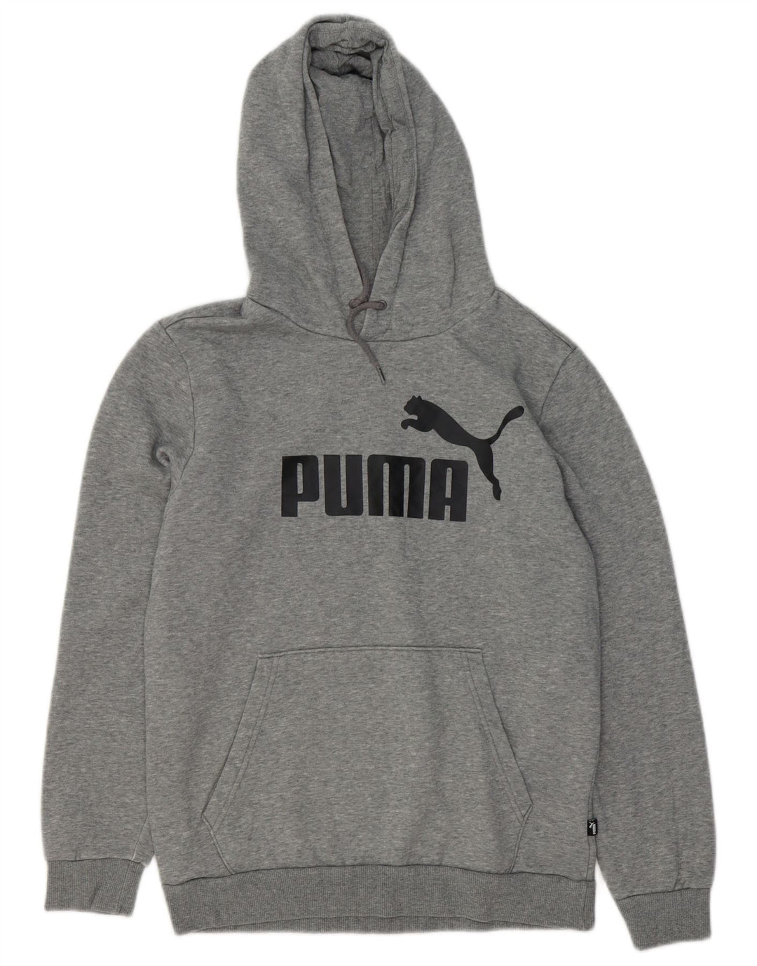 PUMA Jersey con capucha gráfica para hombre pequeño de algodón gris