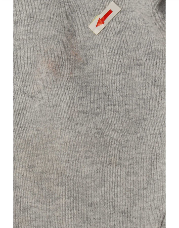 Champion Sudadera Para Hombre Jumper Large Gris Algodón