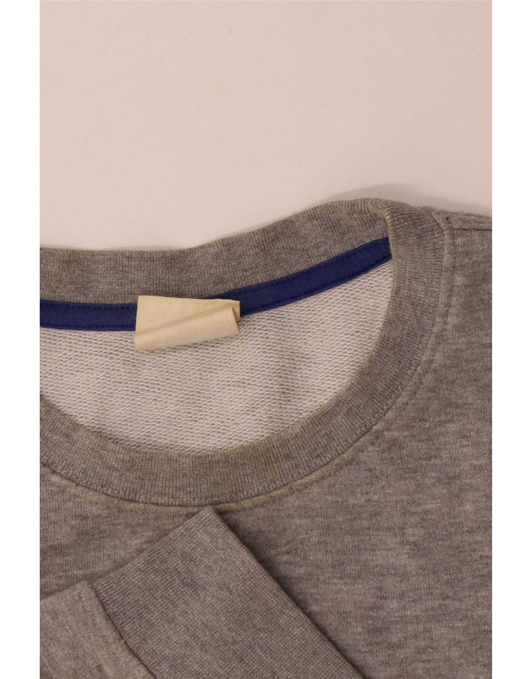 Champion Sudadera Jumper Gris Medio De Algodón Moteado