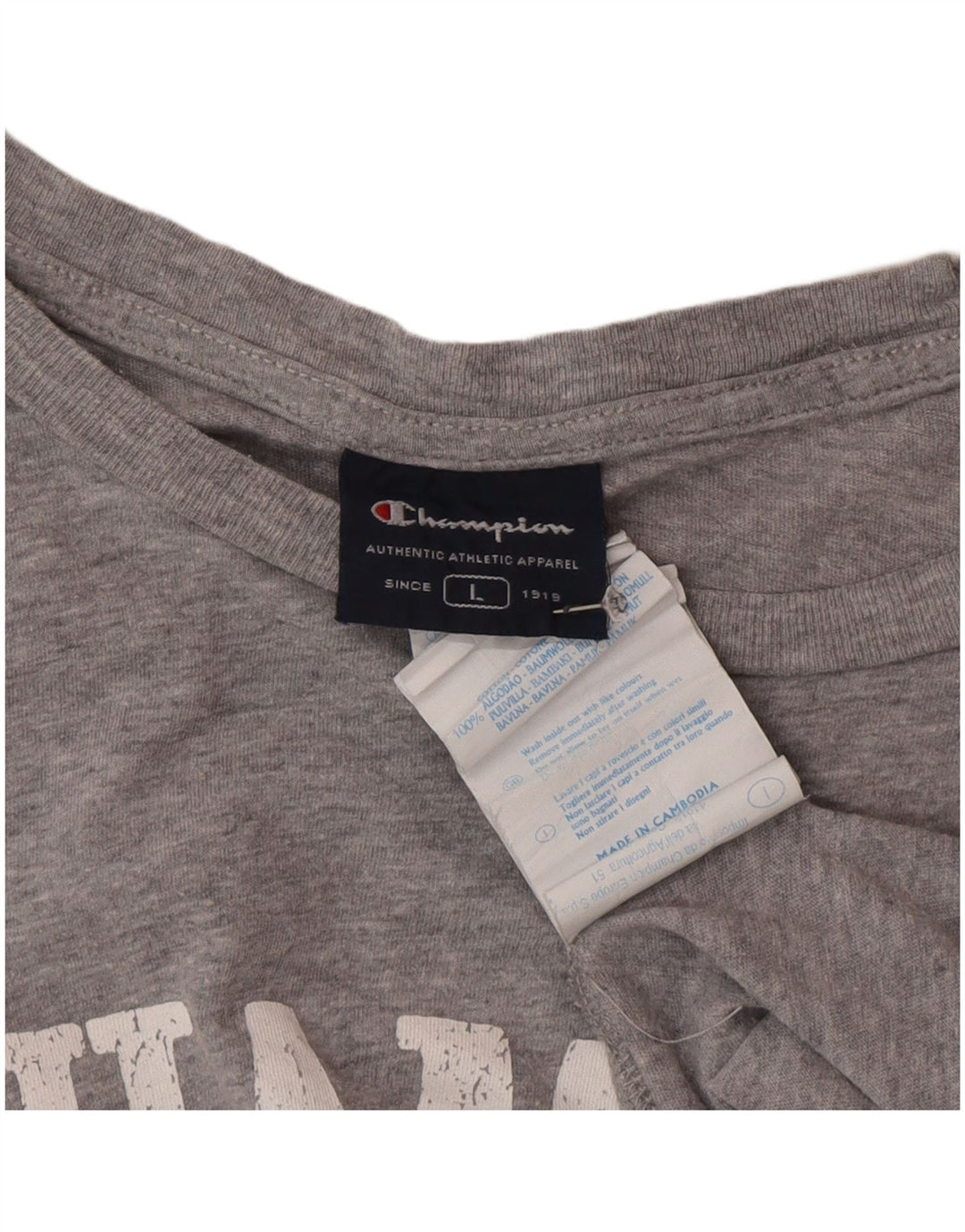 Champion Rochester Graphic Camiseta para hombre, talla grande, algodón gris