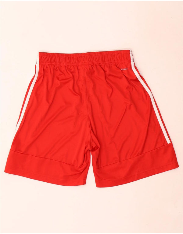 Adidas Mens Climalite Sport Shorts Medium Red Polyester
