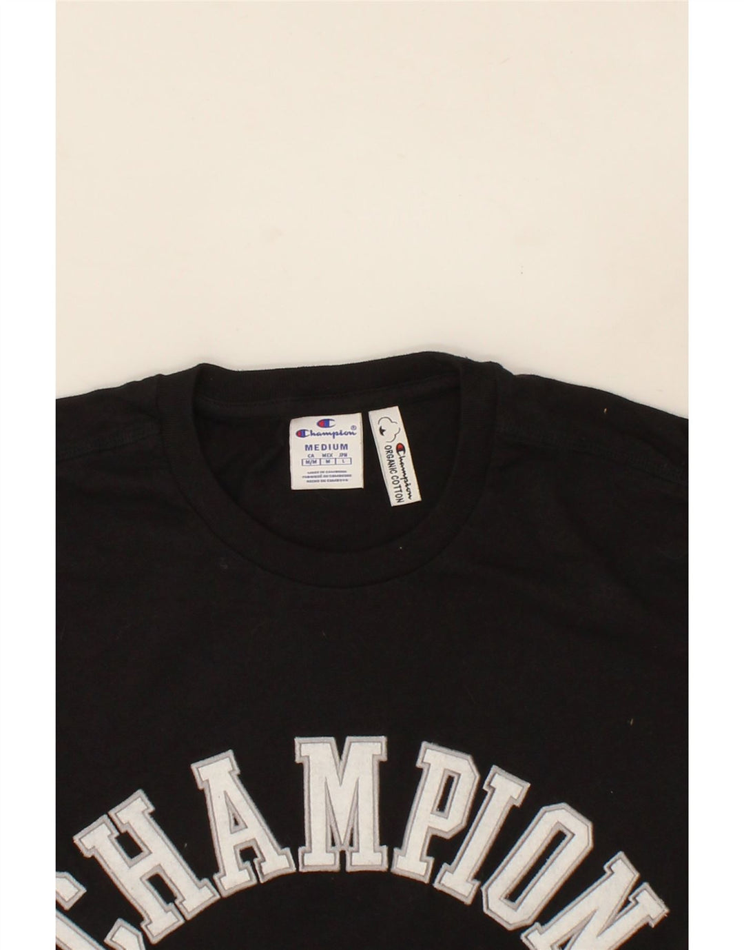 CHAMPION Mens Rochester Graphic T-Shirt Top Medium Black Cotton Vintage Champion and Second-Hand Champion from Messina Hembry 