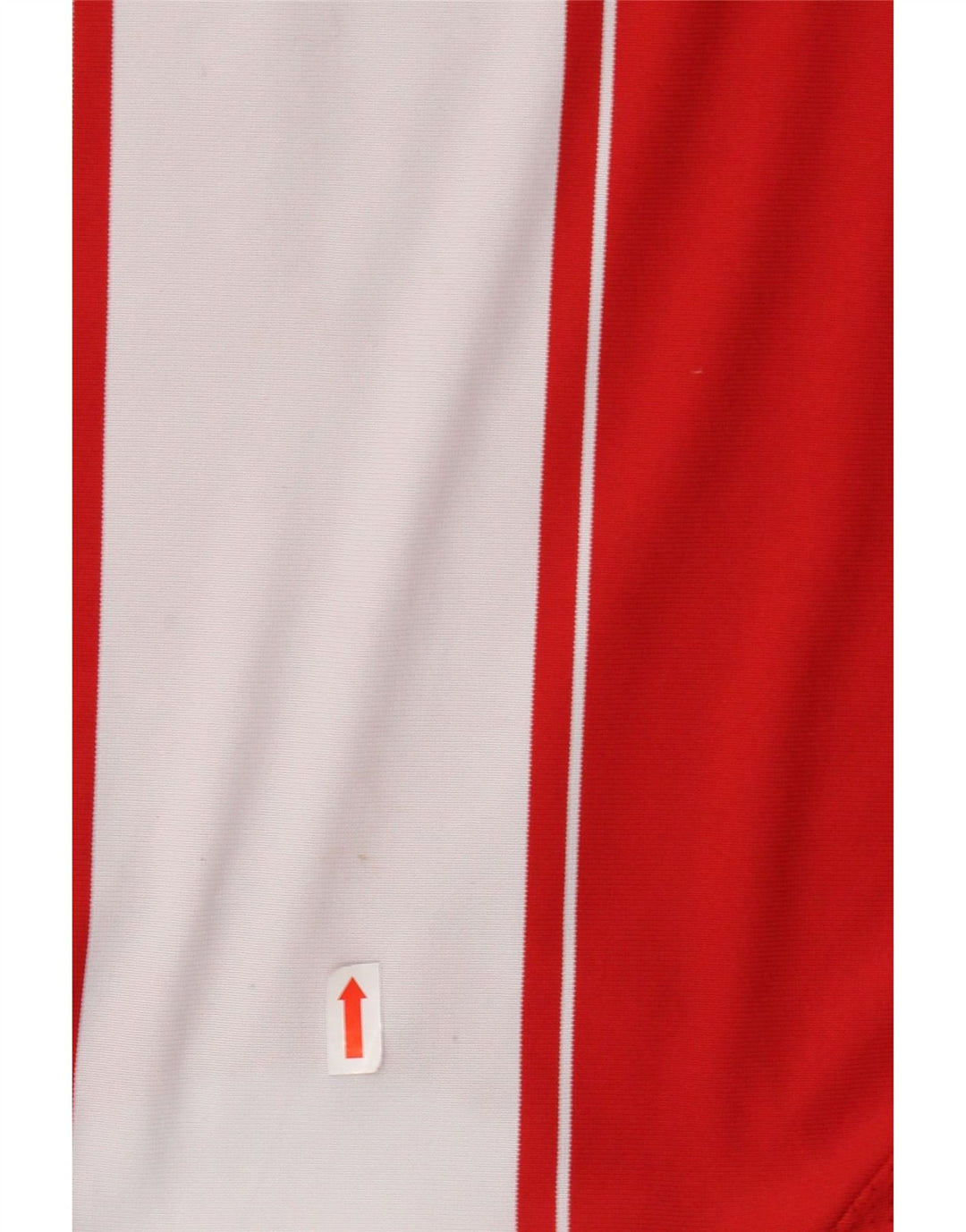 ADIDAS Camiseta gráfica del FC Bayern de Múnich para niño 15-16 años Rojo Rayas