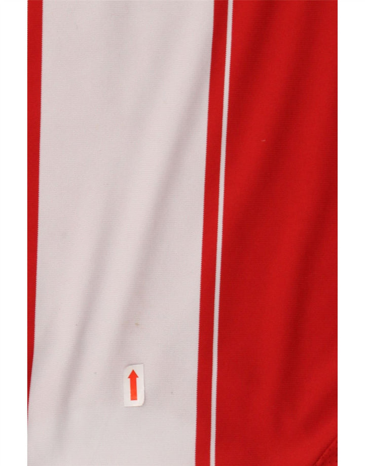 ADIDAS Camiseta gráfica del FC Bayern de Múnich para niño 15-16 años Rojo Rayas