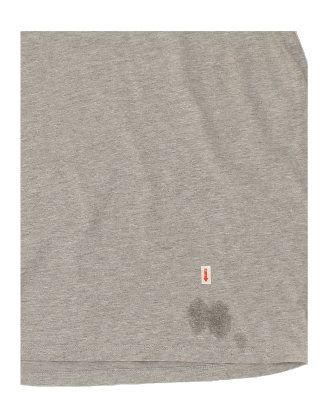 EDDIE BAUER Mens Graphic T-Shirt Top Large Grey Cotton Vintage Eddie Bauer and Second-Hand Eddie Bauer from Messina Hembry 
