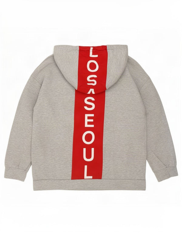 Zara Mujer Trafaluc Graphic Sudadera con capucha Reino Unido 44 Gris medio Colorblock