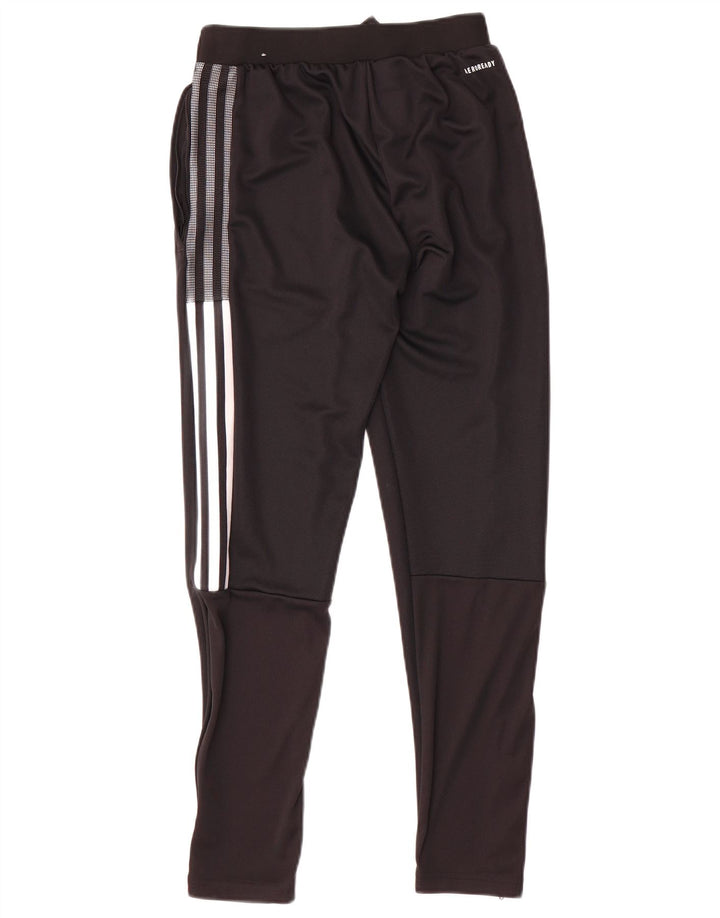 Adidas Hombre Boston Celtics Pantalones De Chándal XS Negro Poliéster