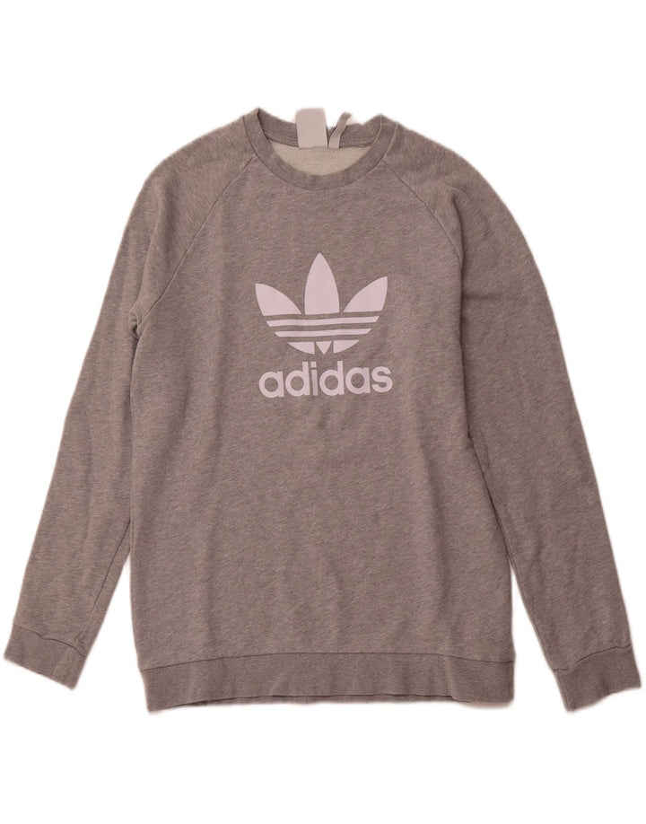 ADIDAS Hombre Sudadera Gráfica Jumper Gris Medio Algodón Deportes