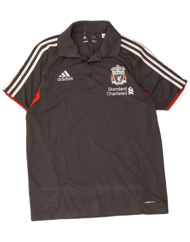 Adidas Hombre Liverpool Graphic Polo Shirt Pequeño Gris Colorblock Poliéster